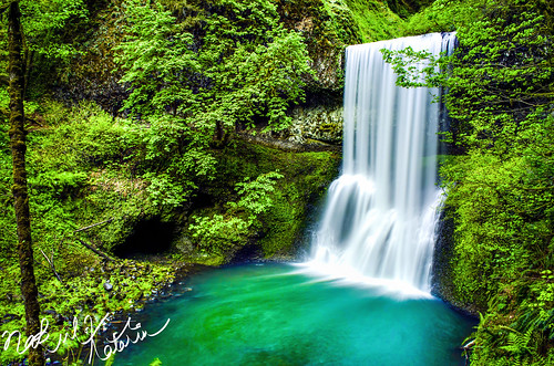 park blue trees wallpaper west fern sexy green fall nature water beautiful oregon creek forest silver flow volcano waterfall moving spring rocks long exposure state pacific south north silk falls historic evergreen valley porn hd majestic volcanic marvelous willamette conifer cacades