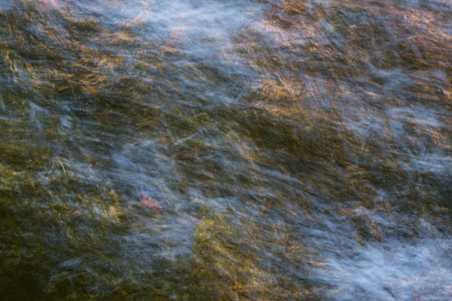 longexposure autumn light sky painterly abstract motion art fall nature leaves painting landscape us moving nationalpark unitedstates natural artistic nps tennessee fineart photograph nationalparkservice townsend smokymountains greatsmokymountainsnationalpark