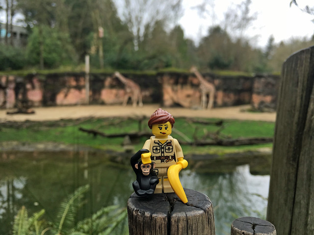 LEGO Collectible Minifigures Series 5 : Zoo Keeper