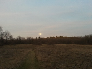 Full Moon Arising - 4373