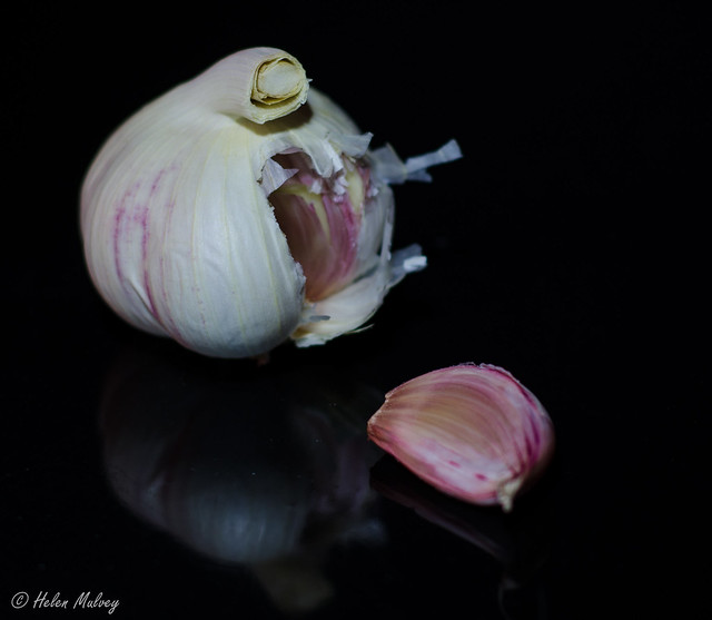 Garlic 16Feb16 1