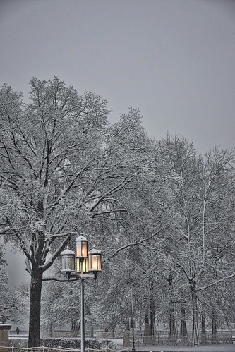 Lamps in a winter storm