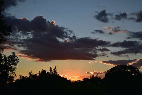 nikon d5500 dusk trees twilight 18140mm clouds goldensunset blue bluesky blackcloud nikkor18140mm