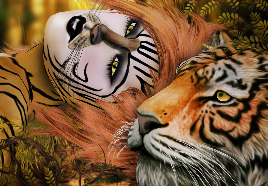 LTD ANIMAL KINGDOM: Tiger | Our Fashion Teller Photographer … | Flickr