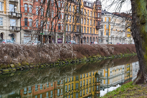 street city reflection tree water buildings se canal sweden outdoor urbannature sverige kanal malmö cityview spegling skånelän