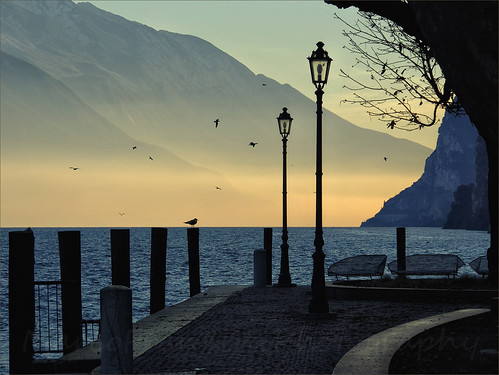 Peaceful sunset on the lake by Arunte, ____________________________________________
<i>Copyright © 1979-2016 Marco Francini</i>
__________