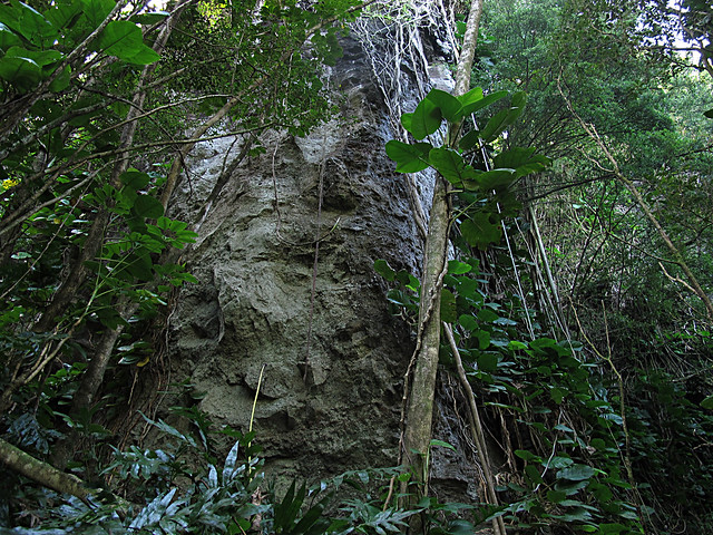 Waikapale cave
