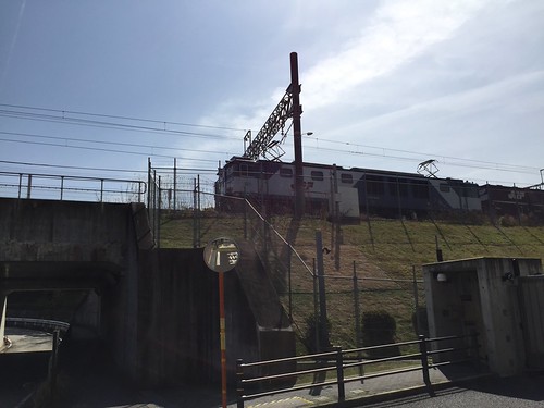 New photo added to "Camera Roll" | by fukumizu