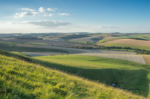 The South Downs Way Looking West. Kingston near Lewes. Late afternoon, first days of the last autumn. 