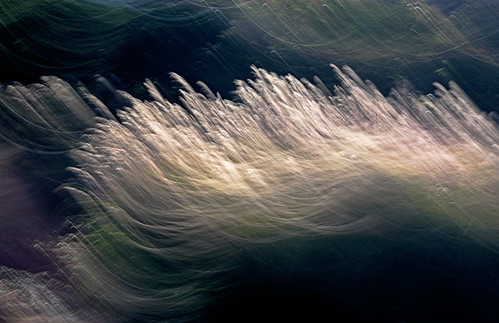 Digital Printing | by dorothyphoto