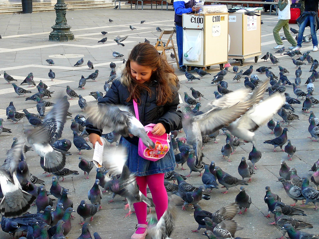 Feed! THE BIRDS by krossbow