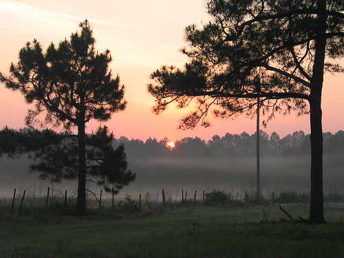 20070508B by MLA2520, Sunrise over the field formerly owned by Mr. Showers. Across from Woodrum Farm - Irwin County, Georg