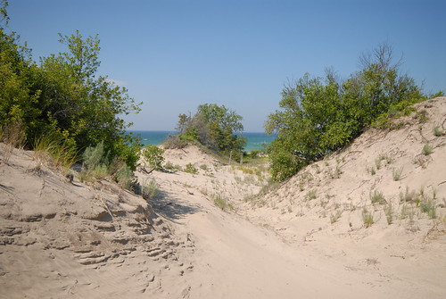 Dunescape | by dunescape