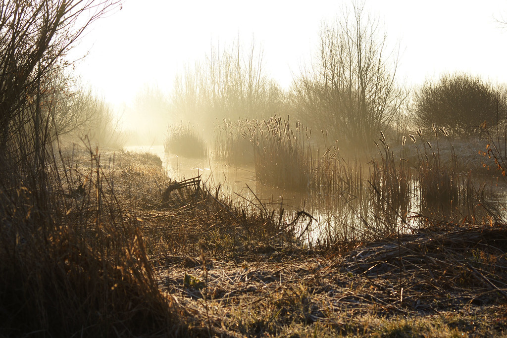 Early morning Haarlem Schalkwijk