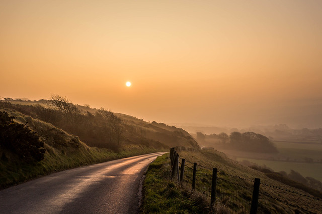 Morning mist