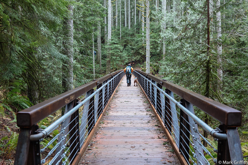 Murat's Bridge