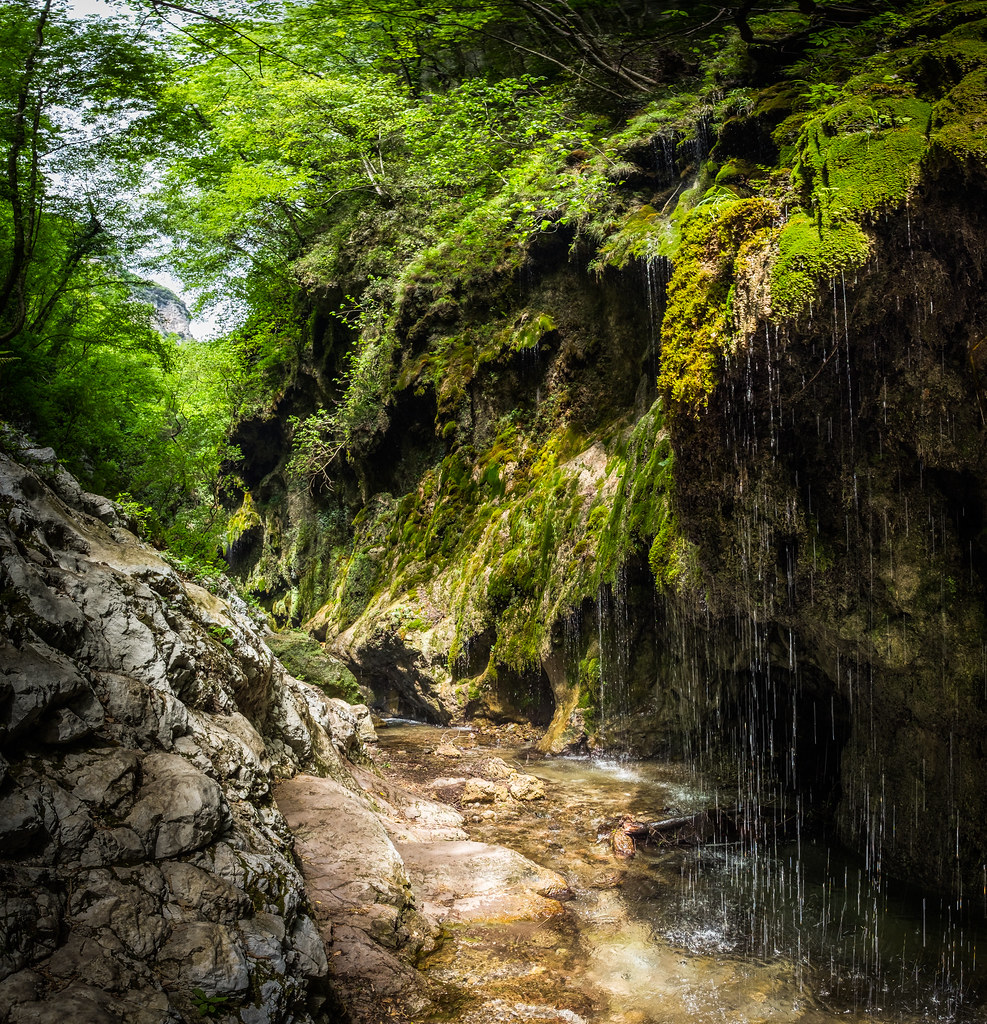 Valle delle Ferriere - Amalfi, Italy - Landscape photography
