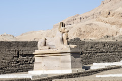 Ramesseum: The Sphinxes
