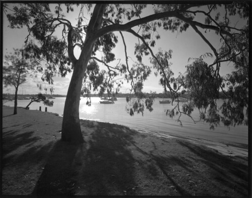 film river australia 8x10 photograph noosa largeformat fomapan200 tachihara gelatinsilver gympieterrace