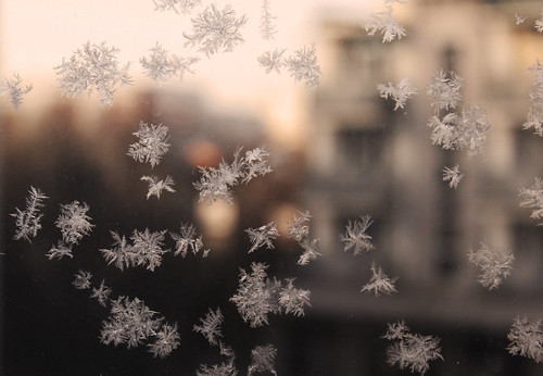 cOld | by miriam.rainbow