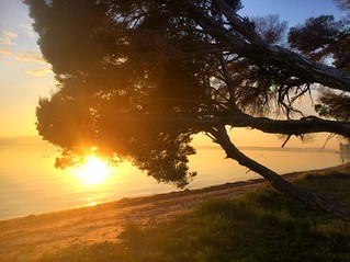 Sunrise ... So much possibility at this time of day! . . . #upsticksandgo #exploring #beachlife #greensbeach #beach #travel #tasmania #tassiecoast #instagood #instatravel #instagram #discovertasmania #michfrost  #sunrise #kelso