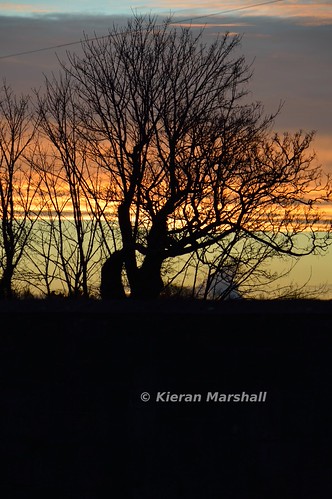 Portlaoise, 10/3/16 by hurricanemk1c, A set of three non-rail shots, showing the dawn of a new day from Portlaoise station. It may be a pa