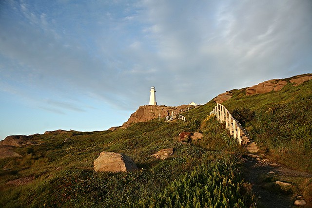 Cape Spear NHS (3)