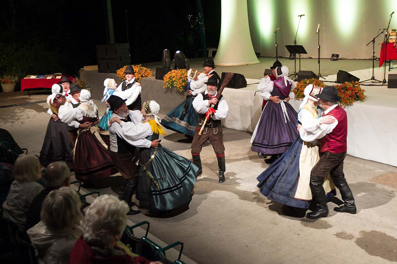 2015 Ansambel Franca Miheliča - foto Tadej Majhenič