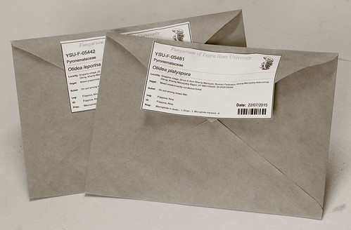 The dried specimens stored in zip-lock bags and packed in krafft-paper envelopes.