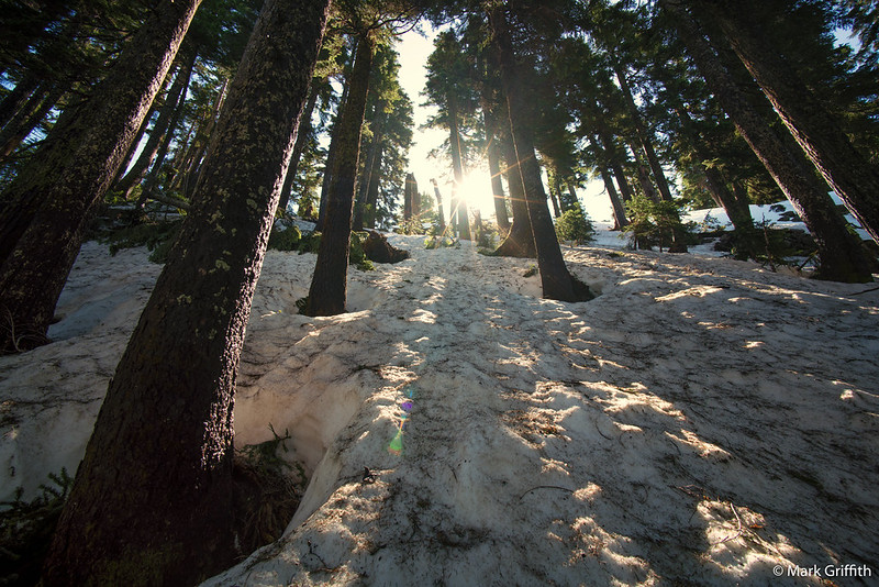 Steep Sunshine
