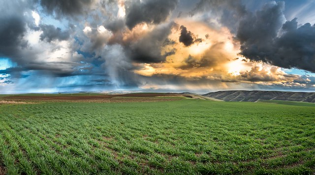 Spring Storm on the Palouse