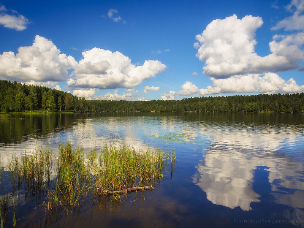 A Norwegian Pond