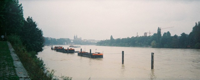 Rhein, Breite Basel