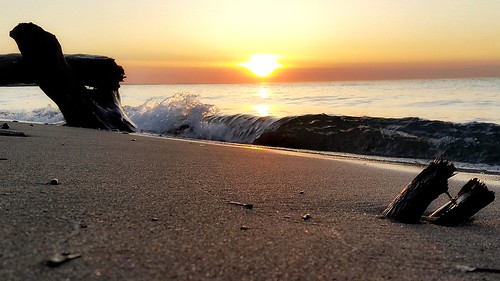 sun toronto canada water sunrise outdoors shoreline driftwood scarborough lakeontario bliss greatlake
