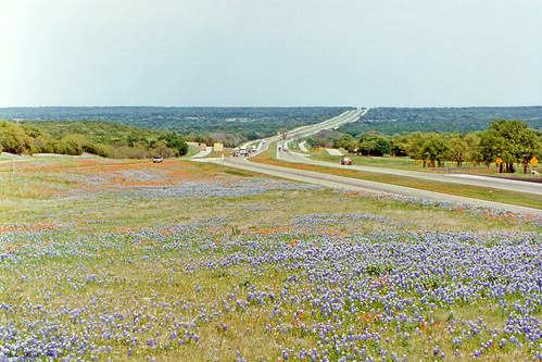 flowers field landscape scenery ranger texas freeway wildflowers bluebonnets indianpaintbrush interstatehighway