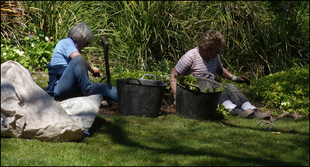 Coleton Fishacre gardeners