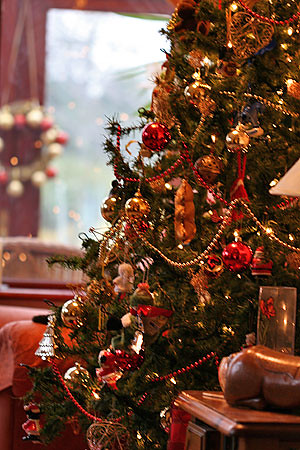 Christmas Tree Surprise
