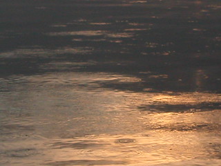 Lake Sunset (7)
