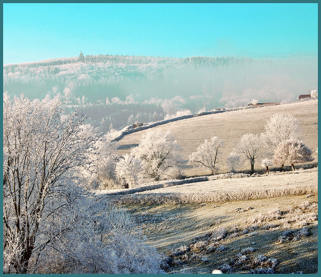 Cold country, frosted landscape for christmas, paysage de noël happy new year bonne année xmas