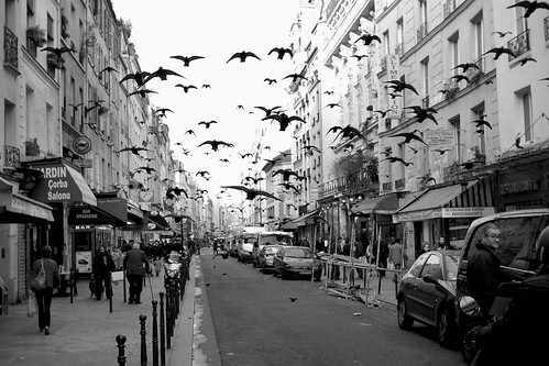 La patrouille des pigeons givrés by In Memoriam: Hughes Léglise-Bataille
