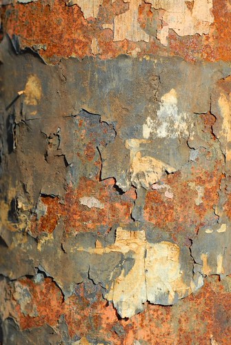 Rust | by Eira M.