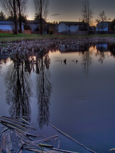 sunset color colour reflection night pond kodak swamp hdr easyshare arsi z740 photomatix supershot arsidubu arsiliam