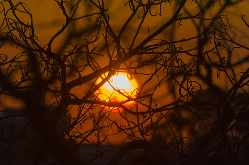 Sunset by Val Che, Centro deportivo UCRtrees sunset shadow orange sun tree sol night atardecer noche soleil costarica á