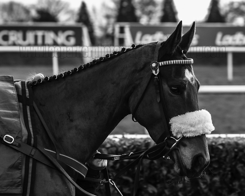 Horse Racing - Doncaster (36 of 167) | Lee Parker | Flickr