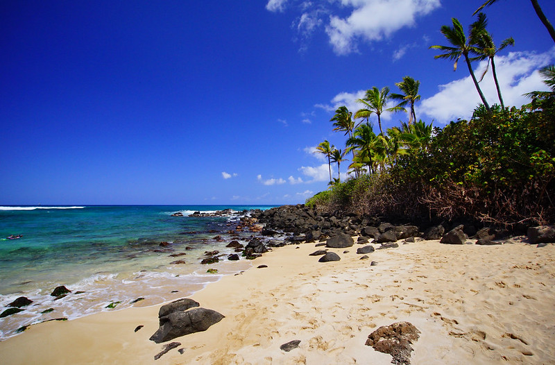 Laniakea Beach