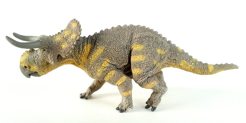 "Safari Nasutoceratops"