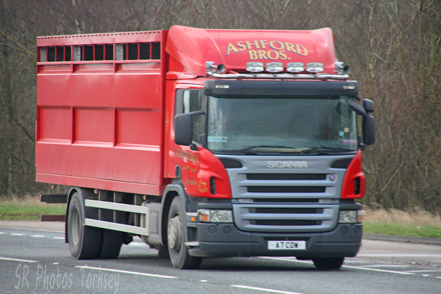 Scania Livestock Transporter Ashford Bros A7 COW