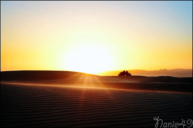 Coucher de soleil, Zagora, Maroc.