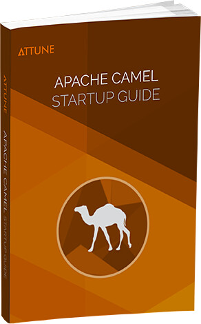 Apache Camel Development Guide – AZWQ