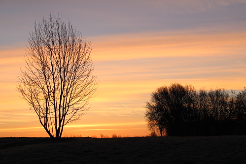tree nature sunrise germany deutschland flickr saxony natur sachsen sonnenaufgang baum springtime frühling prausitz glastraum